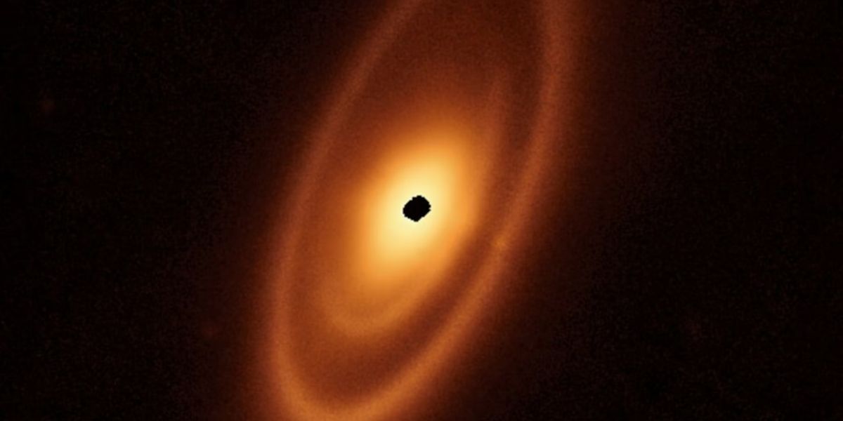Asteroid Belt Outside The Solar System