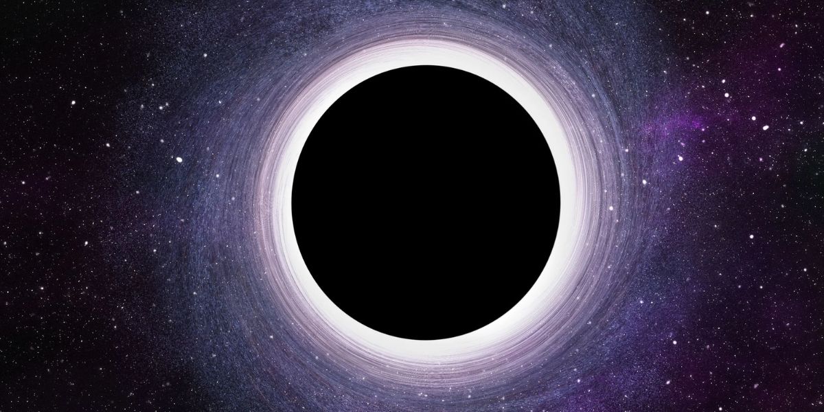 Black Holes Follow The Laws Of Gravity