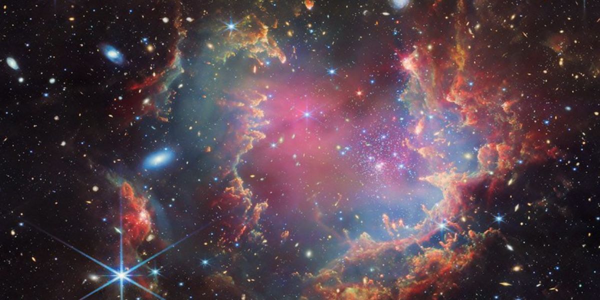 Brown Dwarfs Found In NGC 602
