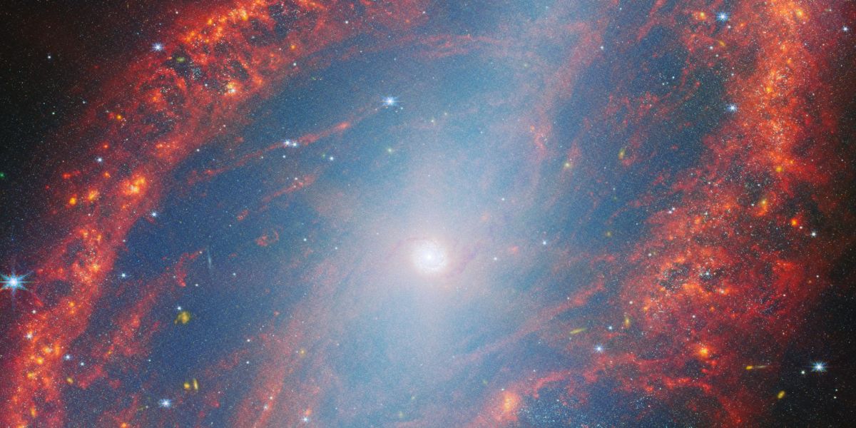 Local Galaxy NGC 2566