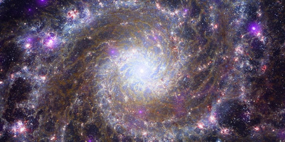 Meisser 74 Captured By The James Webb Space Telescope