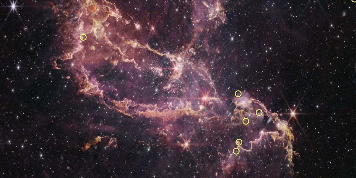 Planet-Forming Disks In The Early Universe Captured By JWST
