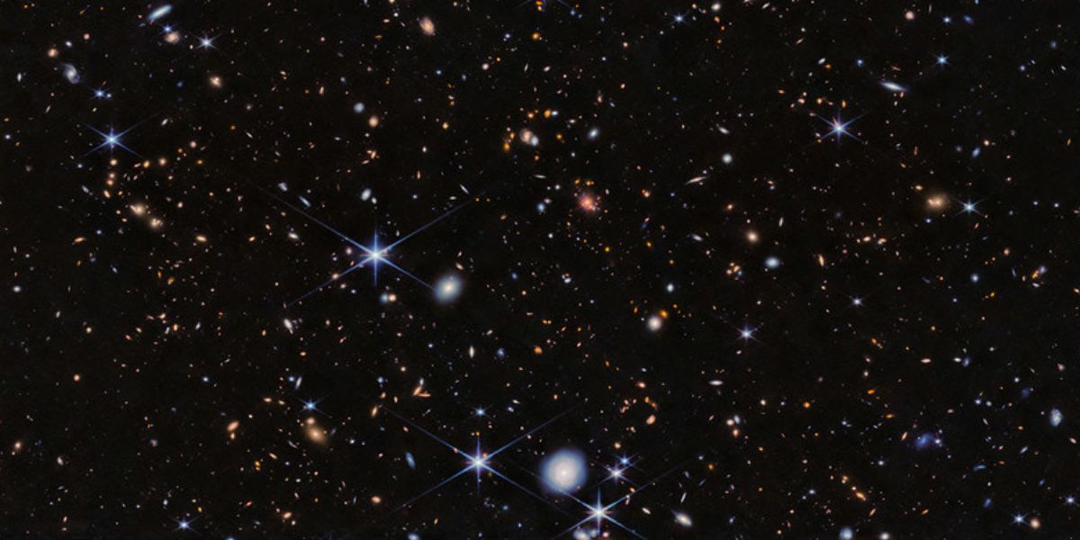 Spiderweb Protocluster