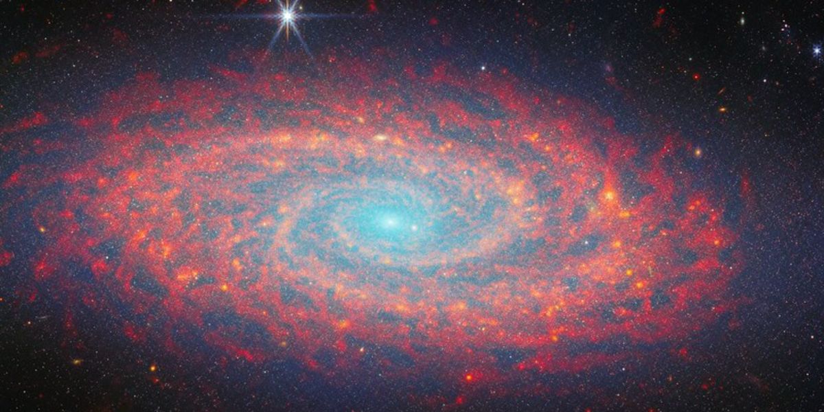Spiral Galaxy NGC 2090