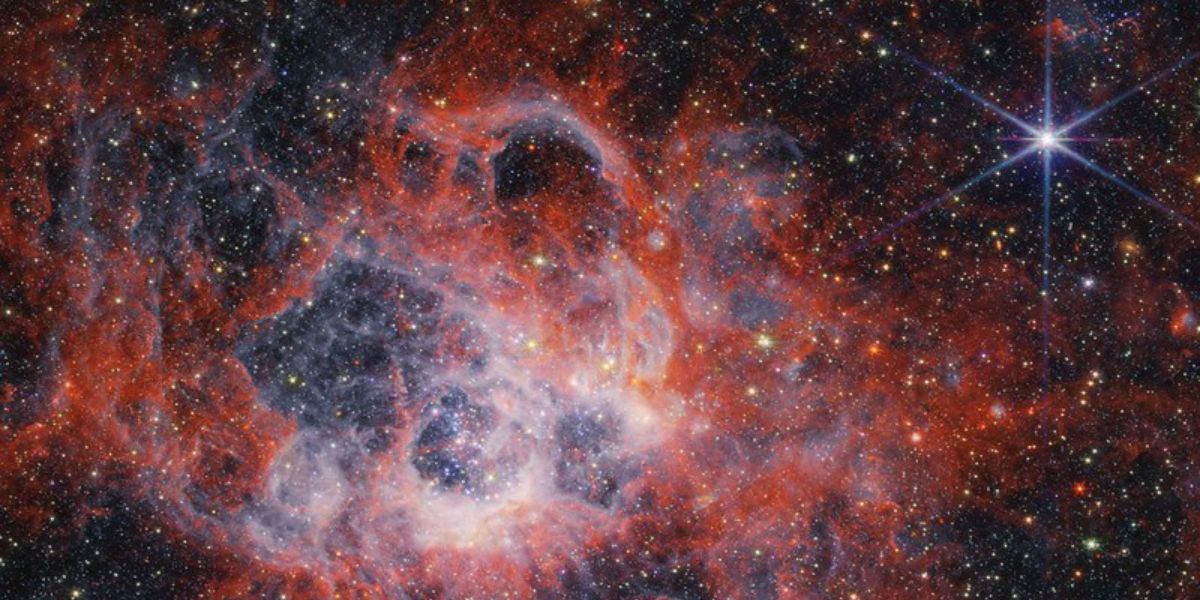 Star-Forming Region, NGC 604