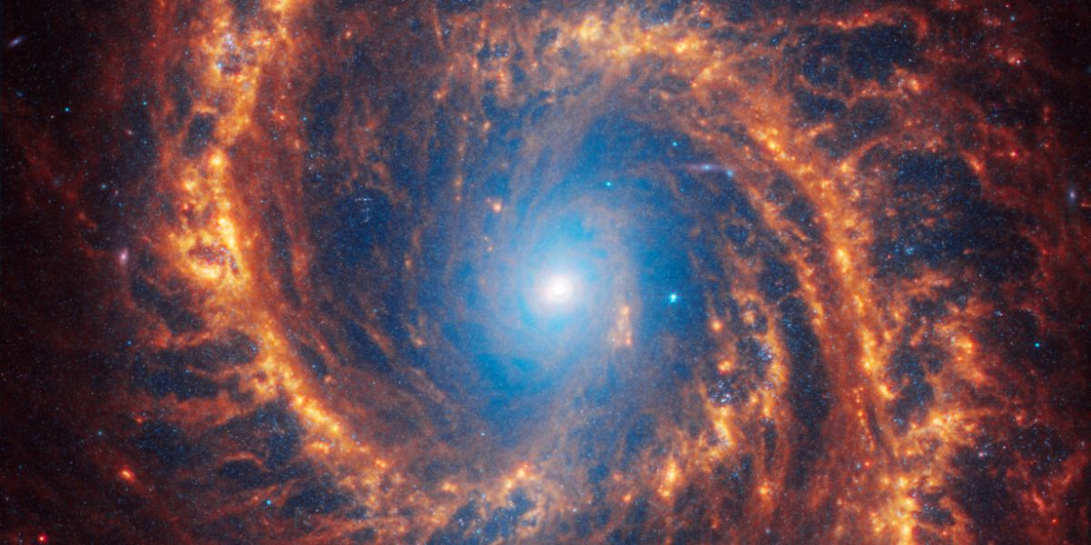 Stunning Image Of NGC 1566